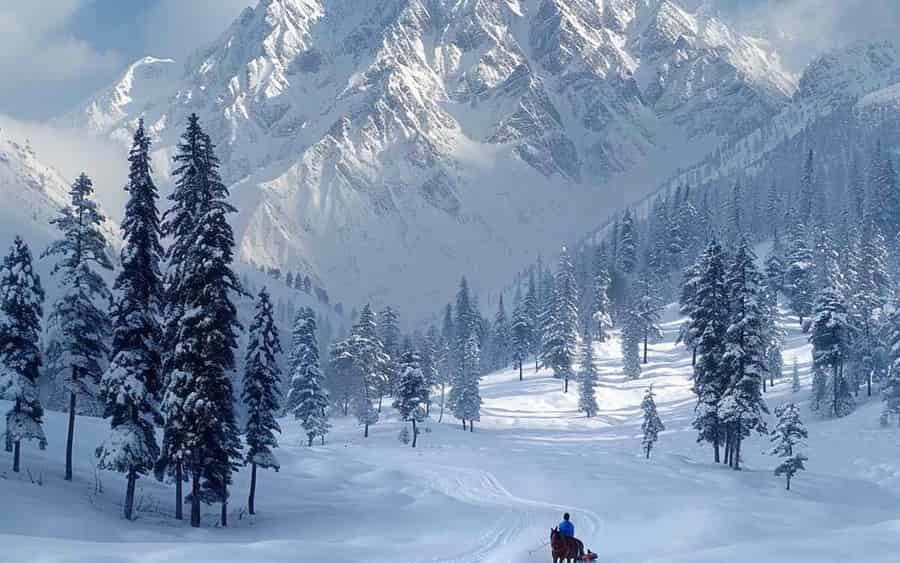 Simply Kashmir