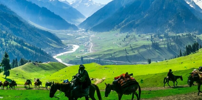 kashmir